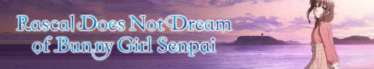 Rascal Does Not Dream of Bunny Girl Senpai
